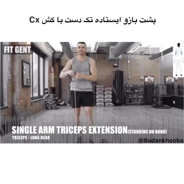 پشت بازو ایستاده تک دست با کش cx