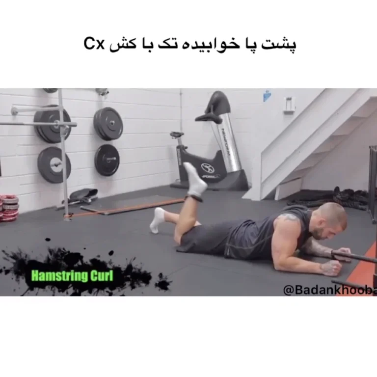 پشت پا خوابیده تک با کش cx