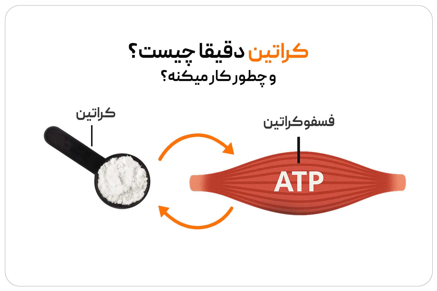 کراتین (Creatine) 1