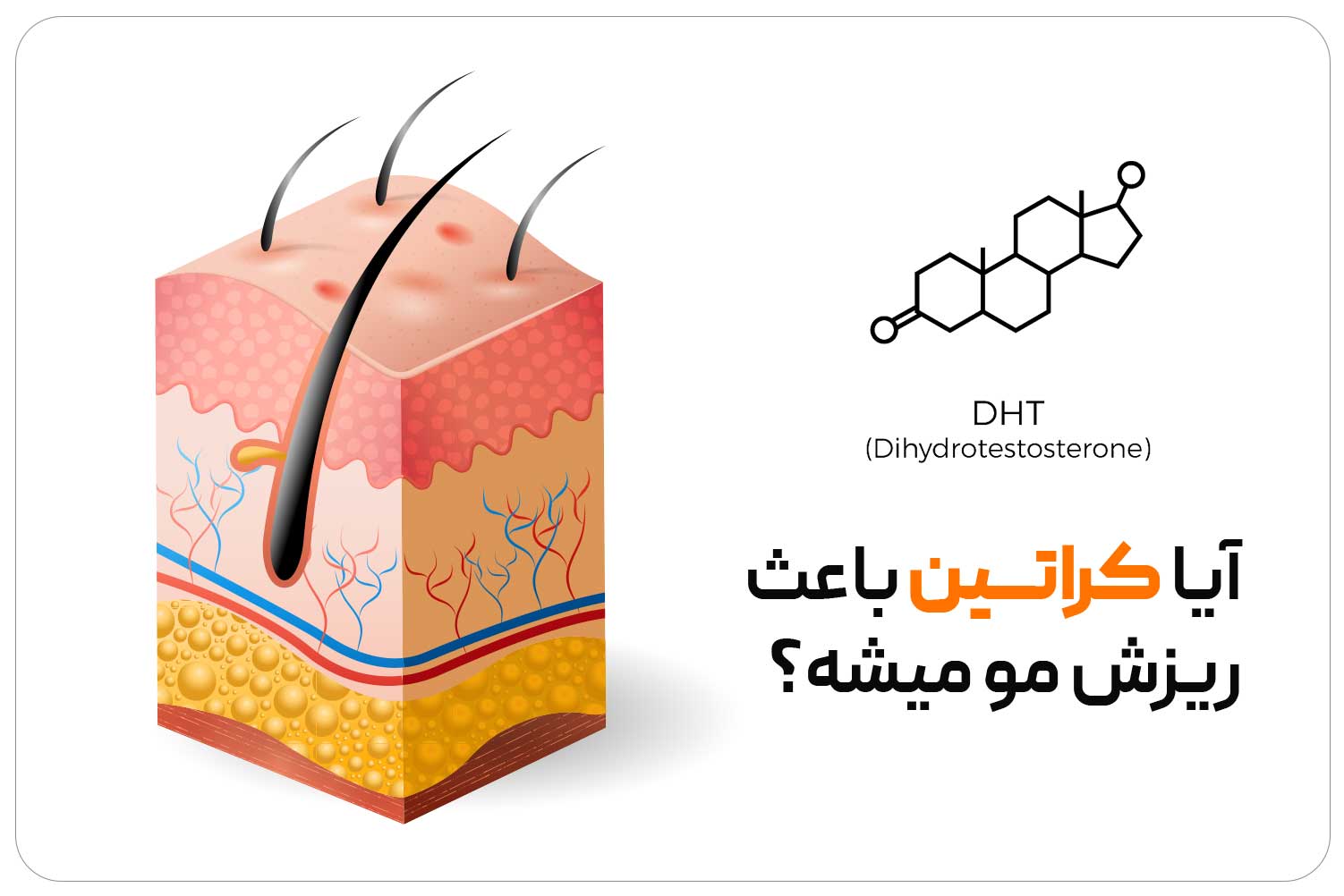 کراتین (Creatine) 6