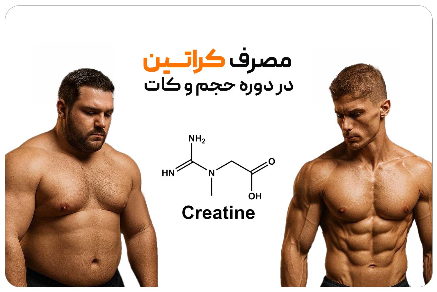 کراتین (Creatine) 11