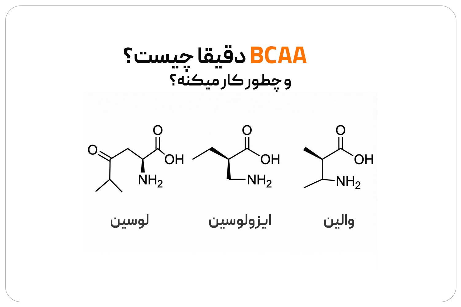 بی سی ای ای (BCAA) 1