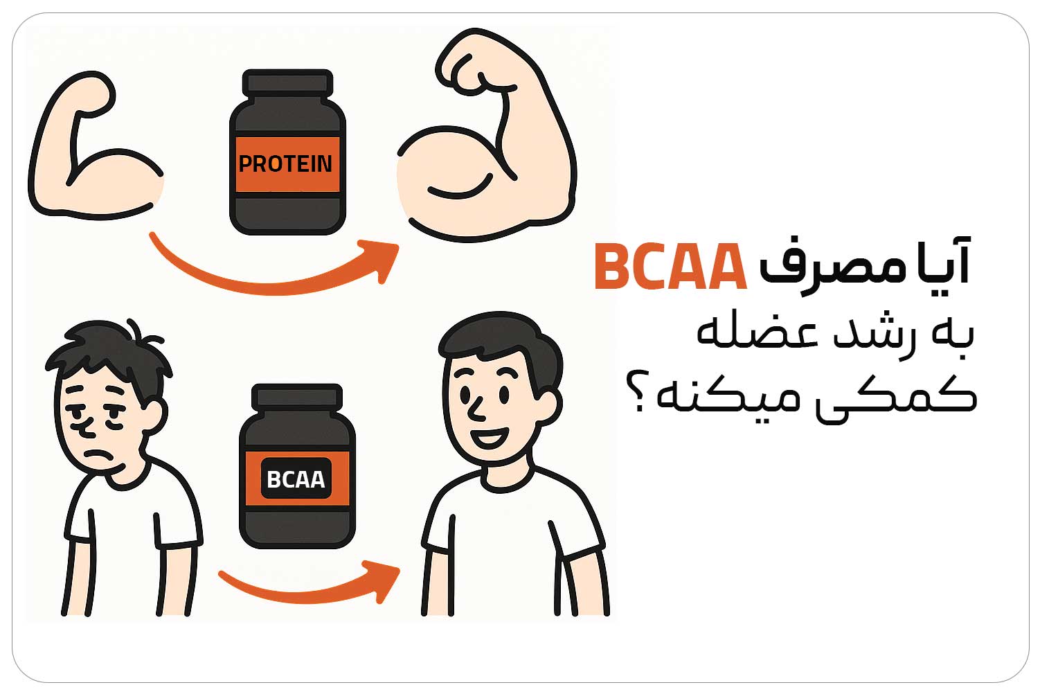 بی سی ای ای (BCAA) 3