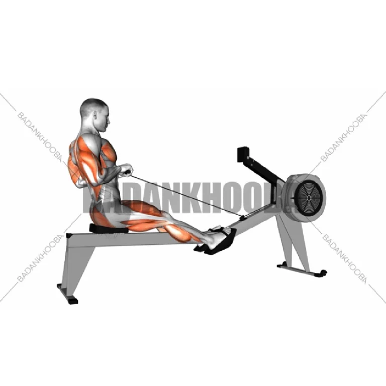 تمرین دستگاه روئینگ
