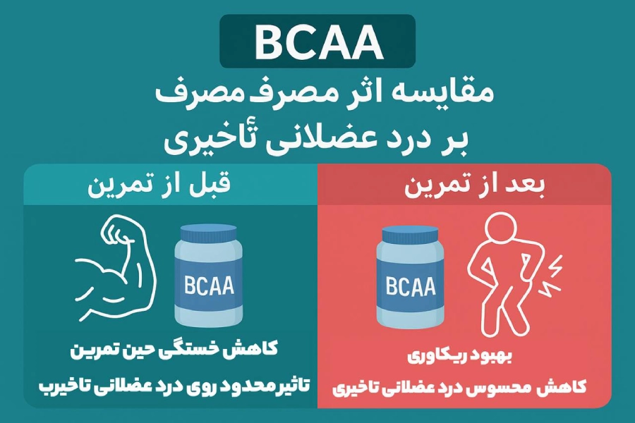 بی سی ای ای (BCAA) 1