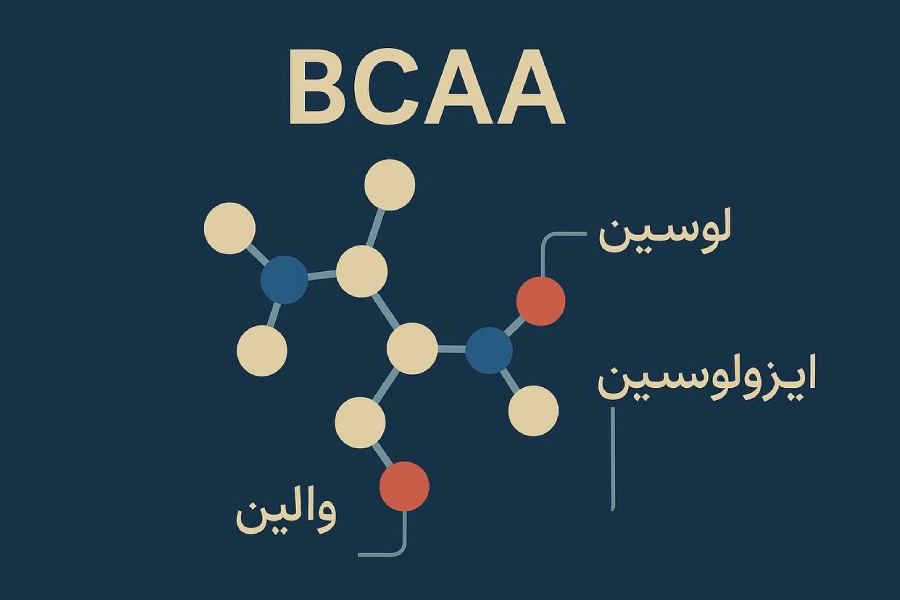 بی سی ای ای (BCAA) 2