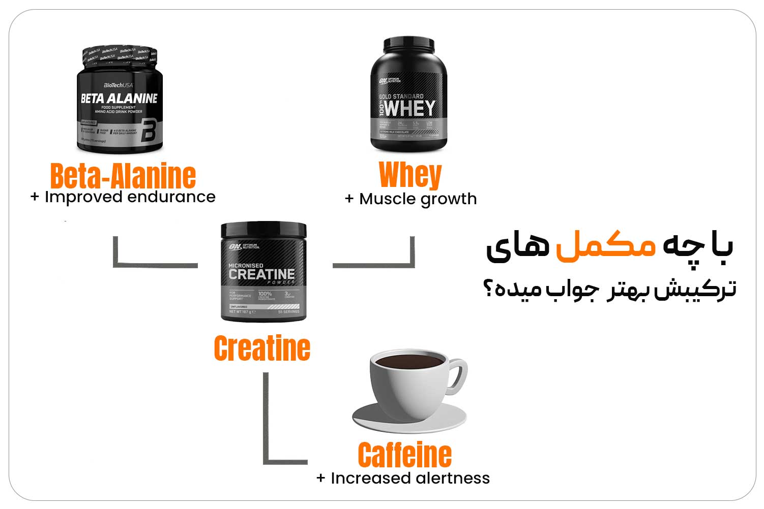 کراتین (Creatine) 12