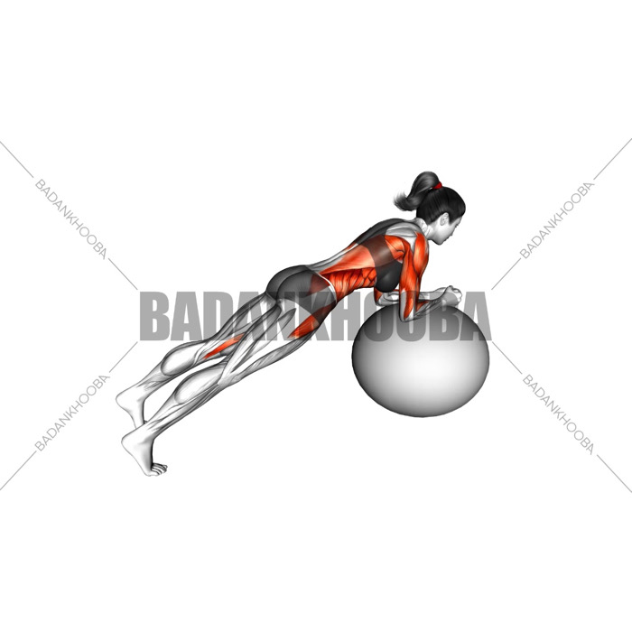 پلانک روی توپ تمرینی همراه با چرخش دست
