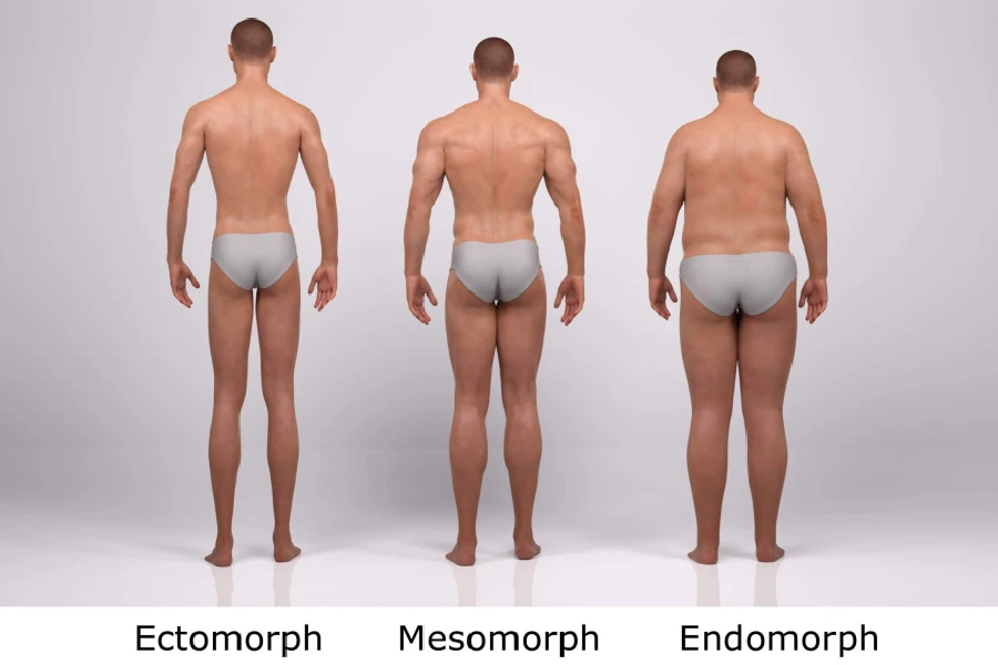 تیپ بدنی اندومورف