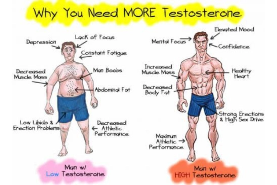 درمان کمبود تستوسترون در مردان 2