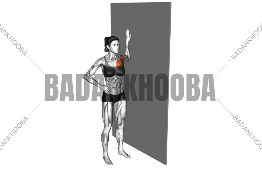 کششی سینه 1371