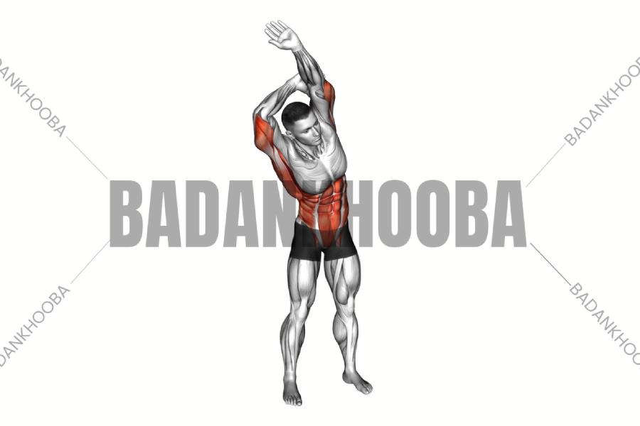 کششی زیر بغل 1653